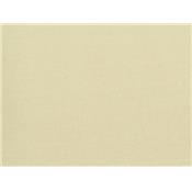 Tissu Molleton Beige