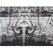 Tissu Scuba / Néoprène Fin Imprimé Paysage Forêt et Feuilles