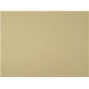 Tissu Double Face Crepe / Satin Champagne