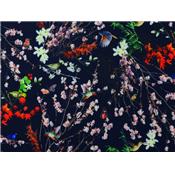 Tissu Soft Shell Oiseaux Japonisant Marine