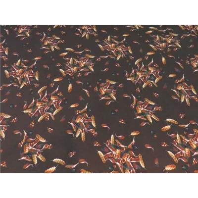 Tissu Jersey Polyester / Elasthanne Imprimé Plumes