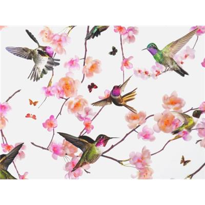 Tissu Jersey VENISE Colibris