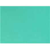 Tissu Jersey Léger Coton / Elasthanne Vert d'Eau