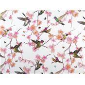 Tissu Jersey VENISE Colibris