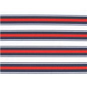 Tissu Maille Maillot de Bain Imprim Rayure Irrgulire