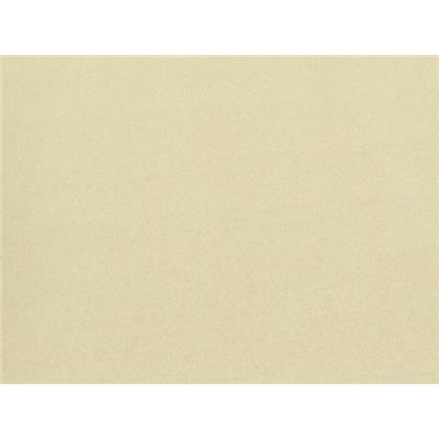 Tissu Molleton Beige