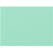 Tissu Molleton Elasthanne Vert d'Eau