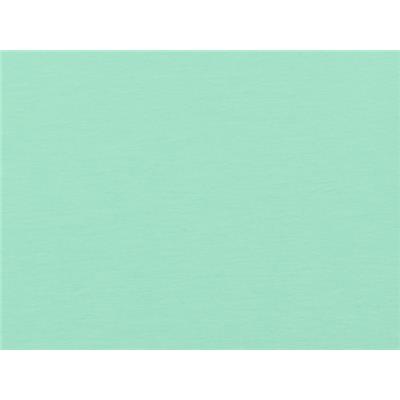 Tissu Molleton Elasthanne Vert d'Eau