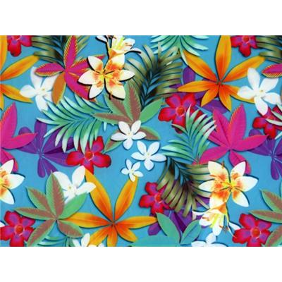 Tissu Maille Maillot de Bain Imprimé Tropical