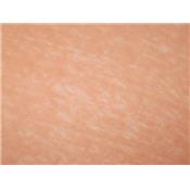 Tissu Jersey Lin Corail
