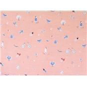 Tissu Double Gaze Rose Imprimé " Nature