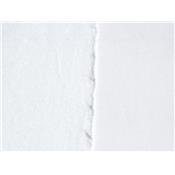Tissu Molleton Gratté Blanc
