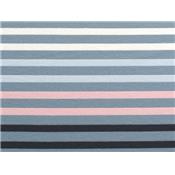 Tissu Jersey Coton / Modal Rayé / Lurex