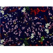 Tissu Jersey VENISE Bleu Nuit Oiseaux Japonisant