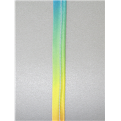 Ruban Passepoil Multicolore 10 mm