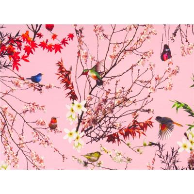 Tissu Jersey Coton / Elasthanne Rose Imprimé Oiseaux