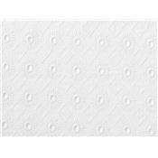 Tissu Broderie Anglaise Blanche