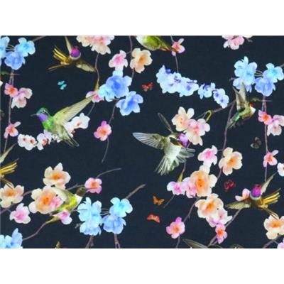 Tissu Jersey VENISE Colibris