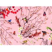 Tissu Jersey Coton / Elasthanne Rose Imprimé Oiseaux