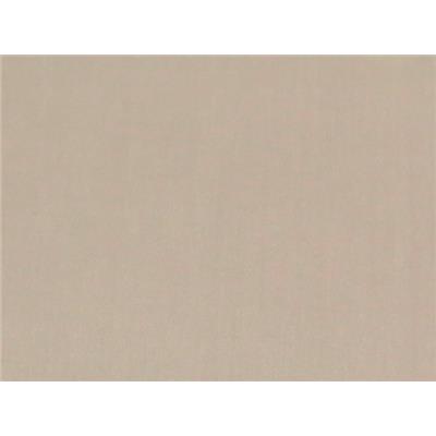 Tissu Sergé Léger 100 % Tencel Nude
