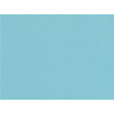 Tissu Jersey Coton / Lyocell Turquoise