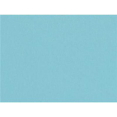 Tissu Jersey Coton / Lyocell Turquoise