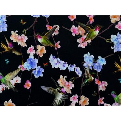 Tissu Jersey VENISE Colibris