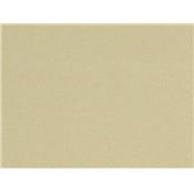 Tissu Molleton Beige Nude