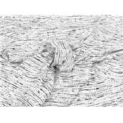 Tissu Twill de Viscose Graphique