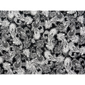 Tissu Crepe Viscose Cachemire Noir & Blanc