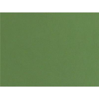 Tissu Jersey Viscose / Elasthanne Vert