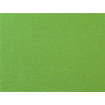 Tissu Jersey Viscose / Elasthanne Vert