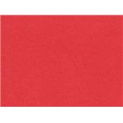 Tissu Molleton Rouge Toucher Peau de Pêche